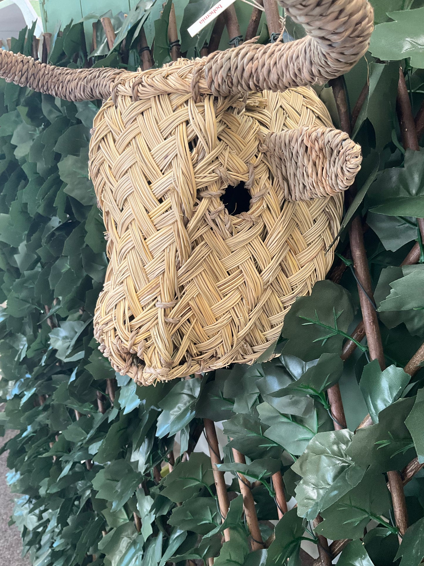 Woven Buffalo Animal Head
